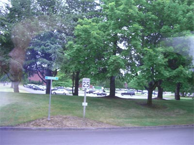 Лесопарковая зона штаб-квартиры компании Tektronix в Бивертоне
